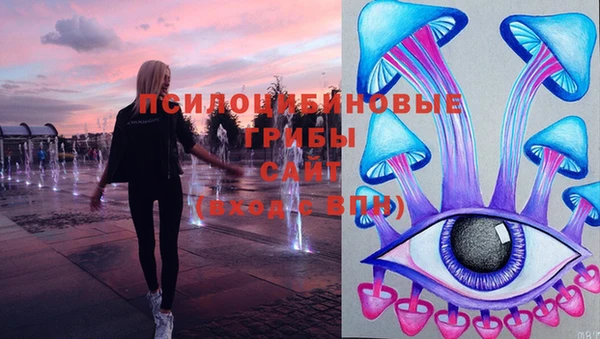 спайс Алзамай