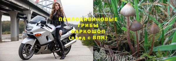 спайс Алзамай
