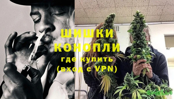 спайс Алзамай