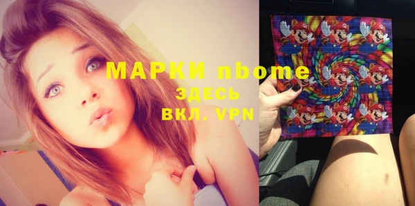 сатива Няндома